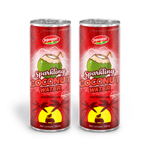 Puré de Agua de Coco Espumosa, Certificado Halal, 100% Puro, Lata de Aluminio de 250 ml, Marca JOJONAVI, Servicio ODM, Precio al por Mayor - Product Image 6