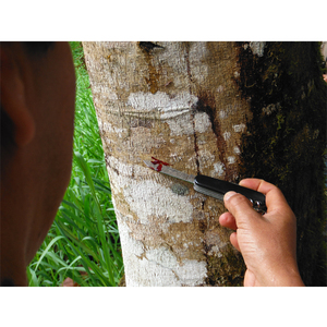 Atomiseur sec de résine de sang de Dragon pur de qualité supérieure, vente en gros 2021 - Product Image 2