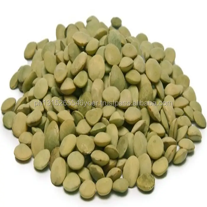 Best Green Lentils 6ミリメートル良質起源Turkey