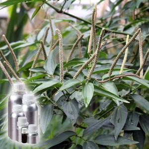 100% huile essentielle biologique pure Cubeb huile naturelle de Piper Cubeba pour l'aromathérapie et le bien-être en vrac en gros herbes Janvi - Product Image 3