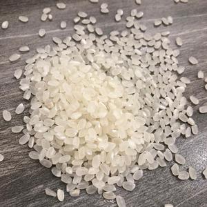 Riz Japonica Calrose à grains courts, texture moelleuse, riz blanc séché, 5% de brisures, marque VILACONIC du Vietnam - Product Image 2