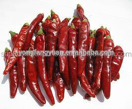 Teja S-17 chile rojo con células madre - Product Image 3