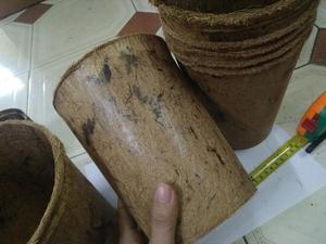POTS en COCO pour l'entretien du jardin - Product Image 2