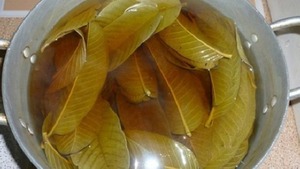 ฝรั่งแห้งสำหรับชาฝรั่งผง - Product Image 6