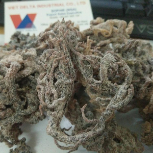 Algues sèches-Cottonii sec-Algues Eucheuma Cottonii SOPHIE - Product Image 3