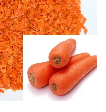 Cenoura fresca Padrão da Exportação Preço/Cenoura Vermelha Congelada de Viet Nam