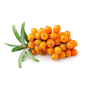 Fournisseur en gros d'huile de baies d'argousier en Inde sous forme liquide pressée à froid Fabricant et fournisseur d'huile à bas prix - Product Image 2