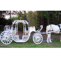 Chariot de Mariage Moderne Cendrillon en Forme de Coeur, en Acier Durable, Couleur et Taille Personnalisables, Prix Usine, Vente Australie