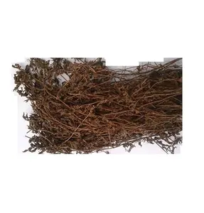 Commercio all'ingrosso Vietnam di alta qualità crudo essiccato gelatina di erba nera/Mesona cinese-gelatina foglie di erba bastone naturale (Ms. Jennie)