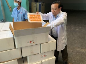 Trứng Vịt Muối Muối Ngâm Năm 2020 - Product Image 2