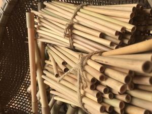 PAJAS DE BAMBÚ ECO_FRIENDLY - Product Image 2