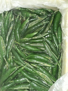 Cápsulas de RED/verde para hacer pimientos congelados - Product Image 5