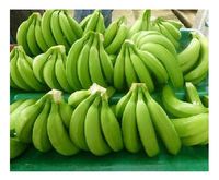 Plátano Verde Cavendish Fresco Orgánico de Alta Calidad en Oferta, Plátano Cavendish Certificado Orgánico
