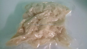 Nido de Aves Marinas/ Eucheuma Cottonii - Product Image 3