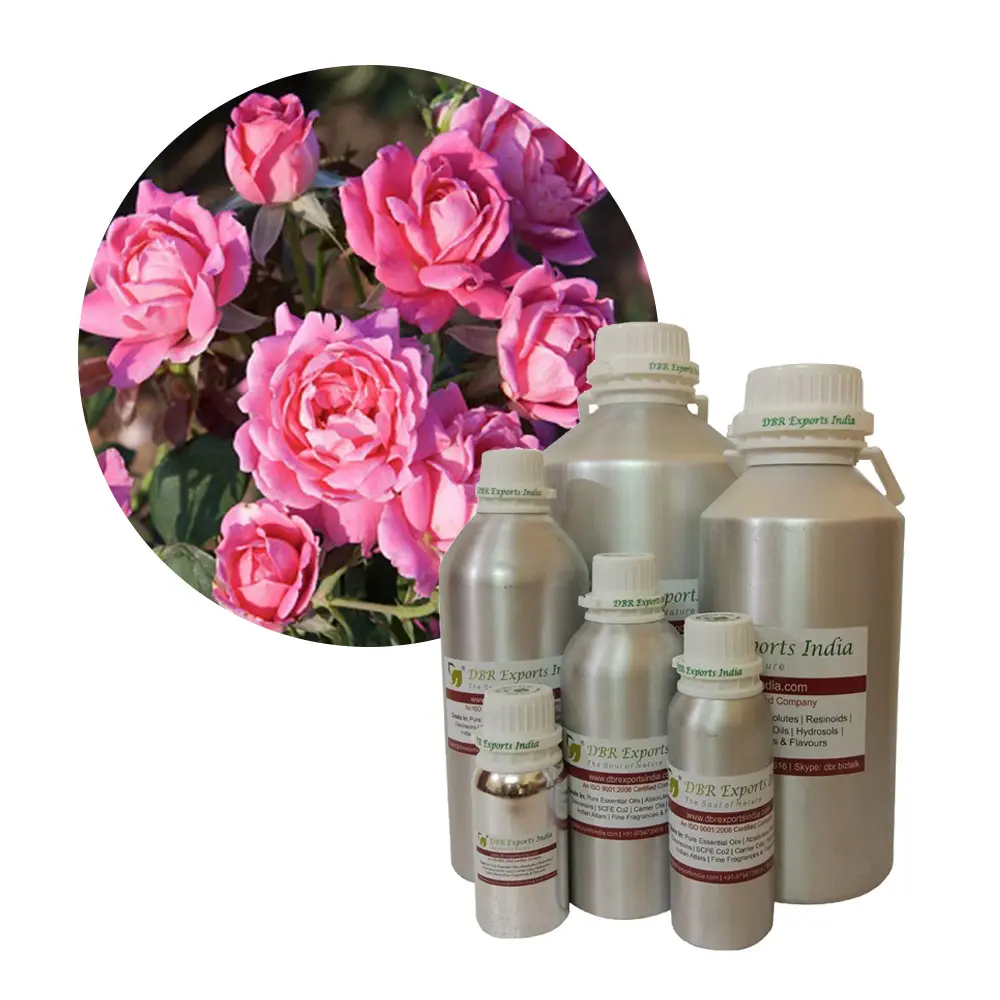 Rose Olie Absolute #1 Natuurlijke Rose Absolute Olie Leverancier Op Wholesale-prijs Exporteur Van Rose Absolute Olie