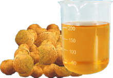 Huile de noix de coco à pression froide, qualité fine et vierge à froid - Product Image 4