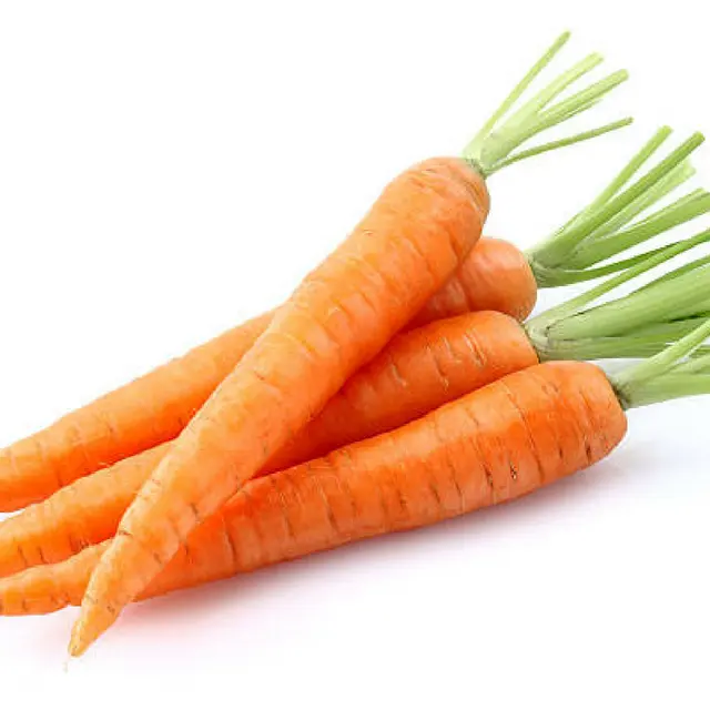 Vendita-vendita di alta qualità alla rinfusa prezzo competitivo carota fresca dal VIETNAM-esportazione di tasse esente da ue, stati uniti, regno unito