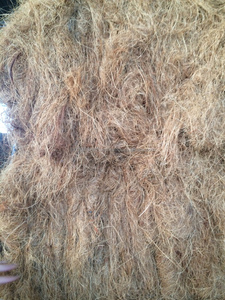 Fibra de Coir de coco seco, fibra Natural - Product Image 4