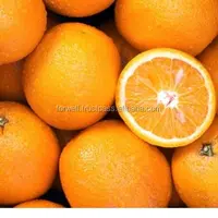 Sweet and cheap tangerines fruits ponkan fresh egyption  orange forwell export & import a