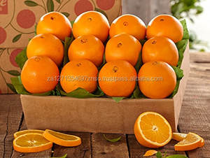 Naranjas Navel y Valencia Frescas de Primera Calidad de Sudáfrica, Duración de 12 Días, 10 kg de Naranjas Valencia Maduras 2023 - Product Image 3