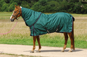 Couverture d'hiver pour cheval, imperméable, 1200D, 300gsm, 400gsm, résistante, protection contre le froid - Product Image 3