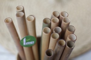 Support de paille en bambou de voyage 100% naturel - Product Image 5