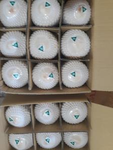 Noix de coco en forme de diamant/jeune noix de coco fraîche vietnamien/Ms: vacances - Product Image 3