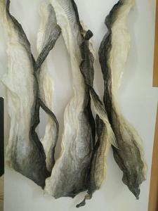 Piel de pescado seca orgánica, venta al por mayor, 2022 - Product Image 3
