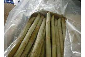 Azúcar fresco de caña de azúcar congelada de alta calidad - Product Image 4