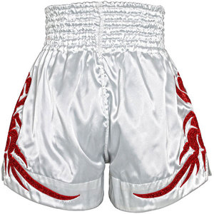Offre Spéciale unisexe Satin Sportswear Kick Boxing Muay Thai Shorts Logo personnalisé MMA Fight Shorts OEM disponible différentes tailles couleurs - Product Image 3