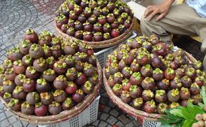 FRUTA DE MANGOSTEEN ORGÁNICA/FRESCA Y DELICIOSA en VIETNAM 2020 - Product Image 6