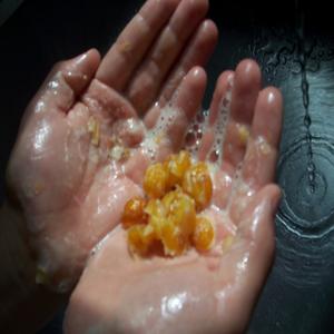 Extracto de nueces de jabón orgánico gran oferta 70% saponinas GMP/polvo certificado Halal en contenedor de vidrio tarro de albañil botellas de plástico lata de tambor - Product Image 1