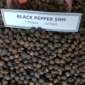 VIETNAM BOLD BLACK PEPPER 5MM MACHINE CLEANED HIGH QUALITY LOW PRICE (Whatsapp/Viber +84 765149122)