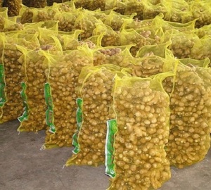 Jengibre fresco/ajo fresco/polvo de extracto de jengibre - Product Image 3