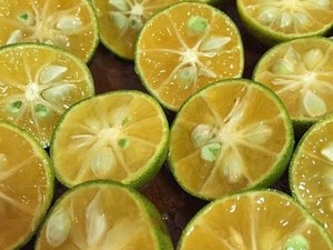 Miel de calamansi/Concentré de calamansi - Product Image 6