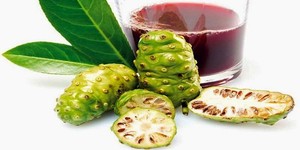 Jus de fruit de noni de pureté 100%-Meilleur prix - Product Image 4