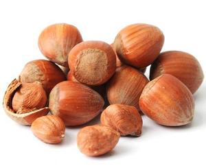 Nueces de Avellana Crudas Secas y Blanqueadas de Alta Calidad, Certificadas ISO, Orgánicas, a Precio Económico, en Bolsas de Yute de 25/50/80 Kg - Product Image 5