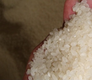 Quality nishiki rice For Every Budget All Varieties Low Moq u0026 New 