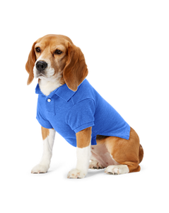 Vêtements pour chiens de haute qualité fabriqués en usine, y compris des vestes de chasse, des imperméables, des gilets, des sweats à capuche et des polos, Bangladesh. - Product Image 3