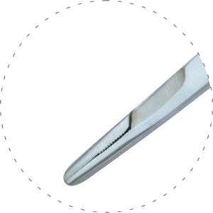 Stainless Steel <b>Fly</b> Fishing Forceps / Clamps with Polished Finish and Half Gold <b>Strip</b> Fishing Tool - Product Image 2