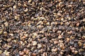 เม็ดมะม่วงหิมพานต์สำหรับเครื่องทำความร้อน,การเผาไหม้ด้วยราคาที่แข่งขันเวียดนามในปี2020 - Product Image 5