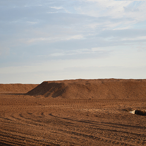 Peat Moss,Torf,Tourbe,Torba,Turba,Turfa,สนามหญ้า,Torvmose-PEATMAN - Product Image 1