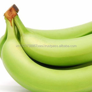 Plátano de fruta fresca, el mejor proveedor de Vietnam, venta al por mayor - Product Image 6