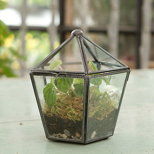 Terrario Geométrico de Vidrio y Metal con Planta Aérea Colgante, Decoración Elegante de Forma Cuadrada, Exhibición de Flores Preservadas - Product Image 4