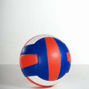 Entretenimiento de Netball de la bola - Product Image 1
