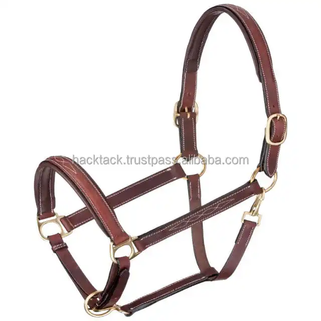 Top Quality Horse Leather Halter Available for Bulk Export/Cheap price and good quality neoprene kids horse riding