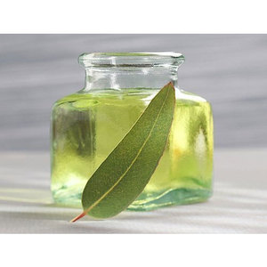 Huile essentielle d'eucalyptus globulus de qualité supérieure, 100% pure, de qualité aromatique, distillée à la vapeur, certifiée GMP, fournisseurs directs d'Inde - Product Image 1