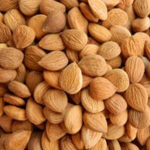 Núcleos de Albaricoque Dulces Premium, Crudos y Secos, Origen Sudáfrica, Grado Alimenticio Pre-ordene Ahora - Product Image 5