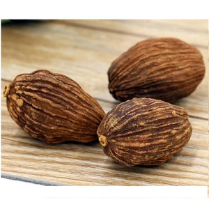 Amomum villosum seco de alta calidad 2020 - Product Image 1