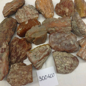 อำพันดิบสีขาวธรรมชาติ (บอลติกและยูเครน) ไม่ผ่านการอบ น้ำหนักเบา ขนาด 2-22 ซม. ราคาดีที่สุด - Product Image 1